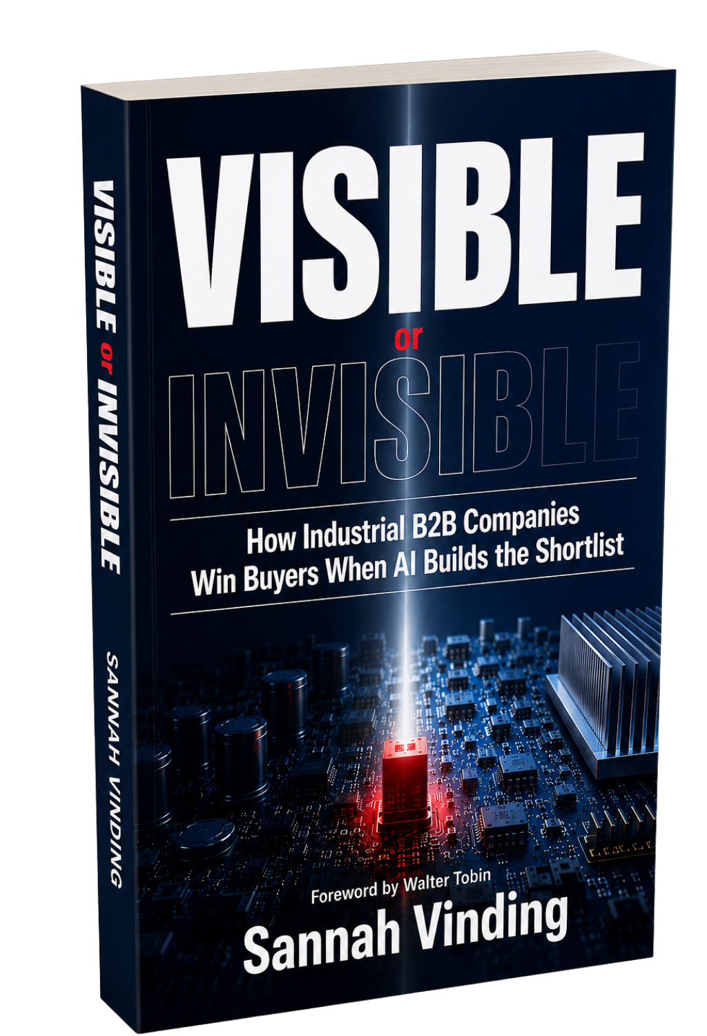 Visible or Invisible book cover